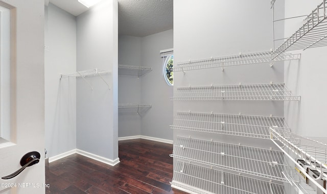 spacious closet with dark wood-type flooring