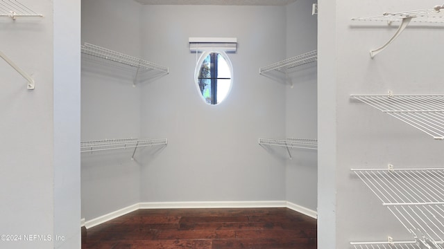 spacious closet featuring dark wood-type flooring