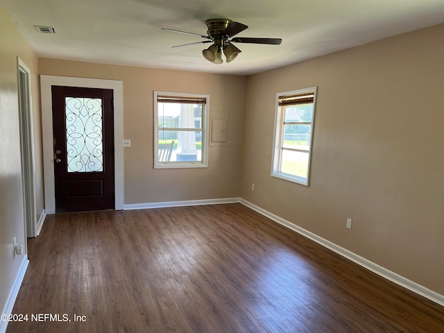 entrance foyer featuring dark hardwood / wood-style flooring, ceiling fan, and plenty of natural light