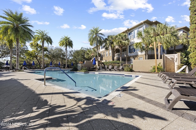 view of swimming pool with a patio area