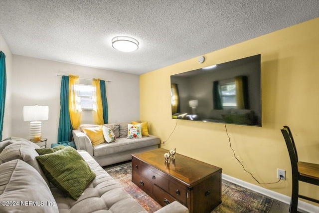 living room featuring a textured ceiling