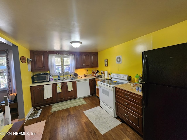 kitchen with dark brown cabinets, white appliances, dark hardwood / wood-style floors, and sink