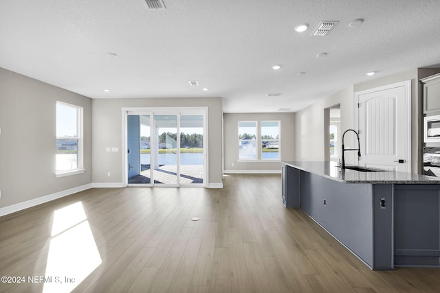 kitchen featuring a wealth of natural light, sink, and hardwood / wood-style flooring