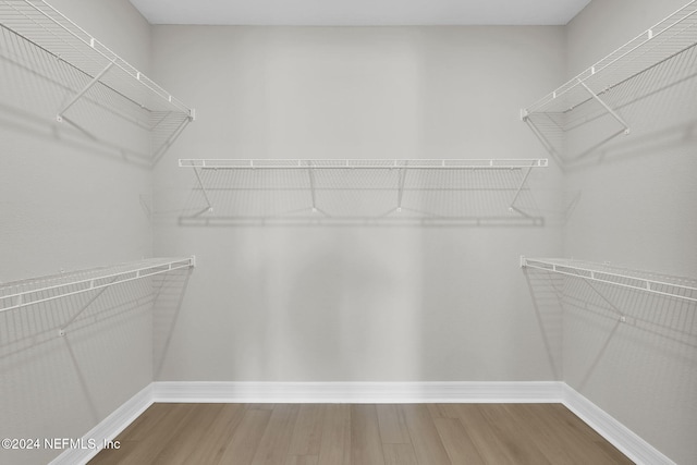 walk in closet featuring hardwood / wood-style floors