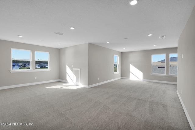 unfurnished room with light carpet and a wealth of natural light