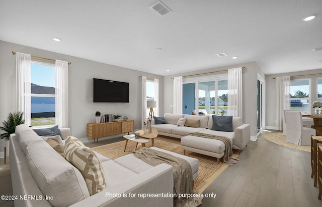 living room featuring plenty of natural light and light hardwood / wood-style flooring