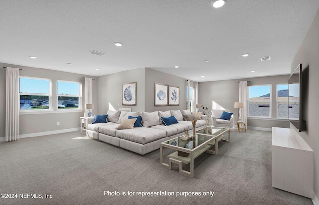 carpeted living room with a healthy amount of sunlight and a textured ceiling