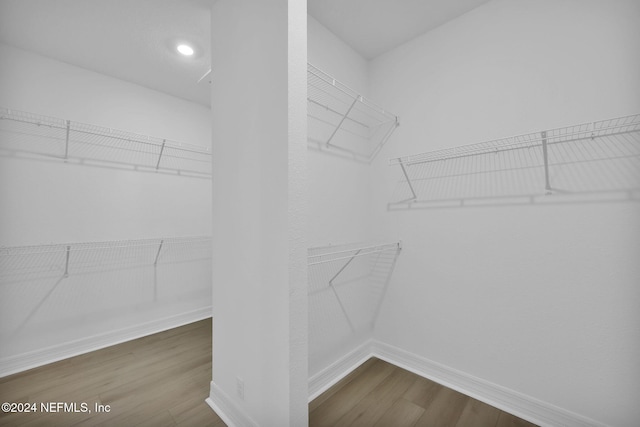 walk in closet featuring wood-type flooring