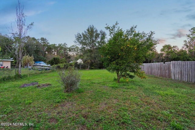 view of yard at dusk