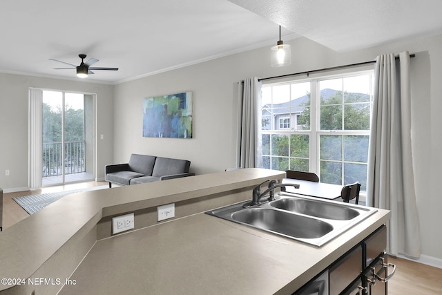 kitchen featuring crown molding, sink, ceiling fan, and light wood-type flooring