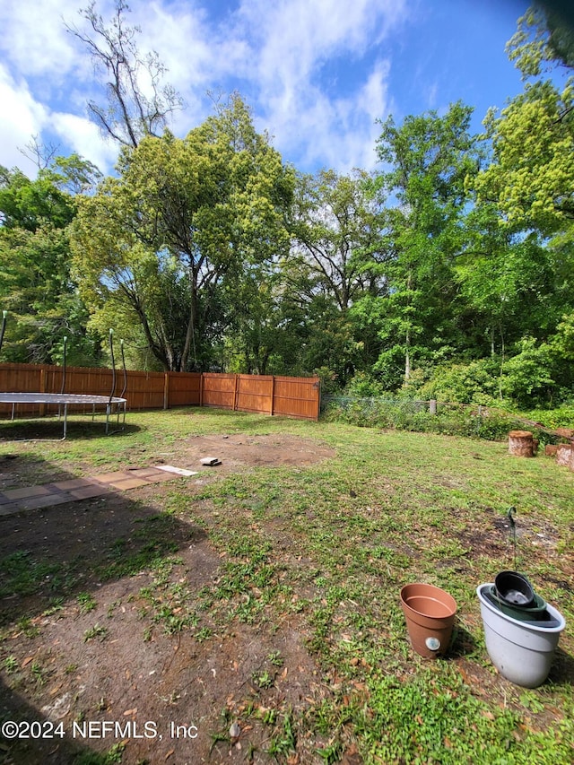 view of yard featuring a trampoline