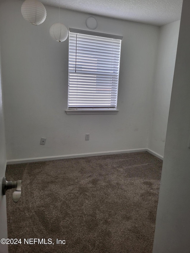 spare room featuring carpet and a textured ceiling