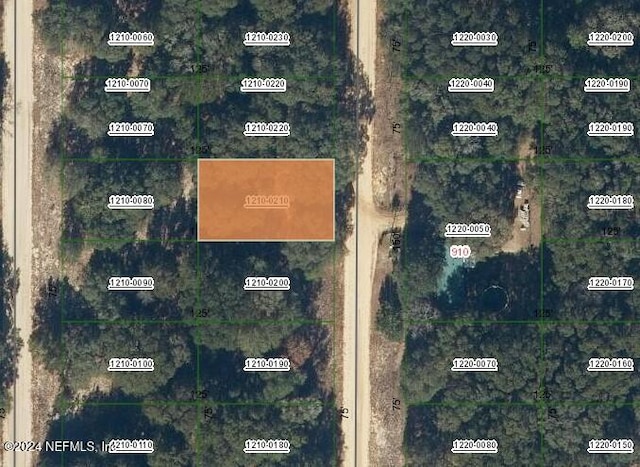 0000000000 Ofarrell Ave, Interlachen FL, 32148 land for sale