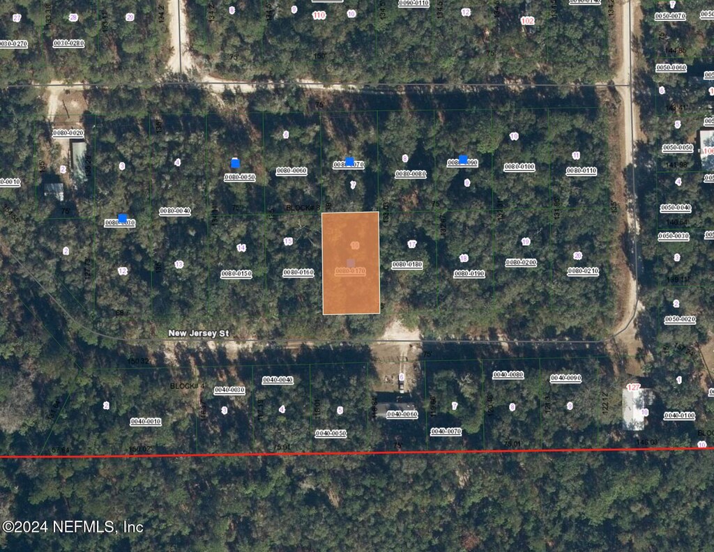 118 New Jersey St, Satsuma, FL 32189 - photo 1