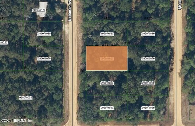 00000 Nelsman Ave, Interlachen FL, 32148 land for sale