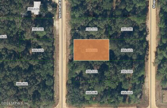 00000 Nelsman Ave, Interlachen, FL 32148 - photo 1