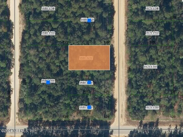 000000 Brett Ave, Interlachen FL, 32148 land for sale