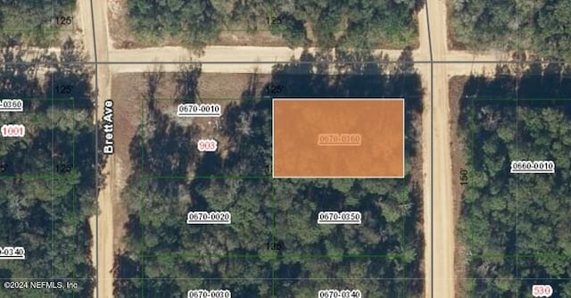 00000 Neilsen Ave, Interlachen FL, 32148 land for sale