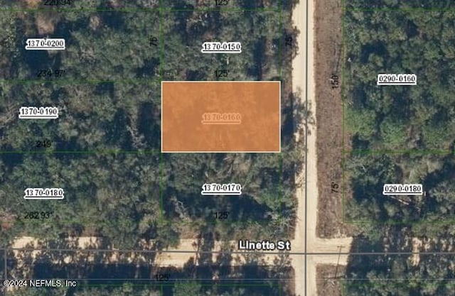 000000 Gloria Ave, Interlachen, FL 32148 - photo 1