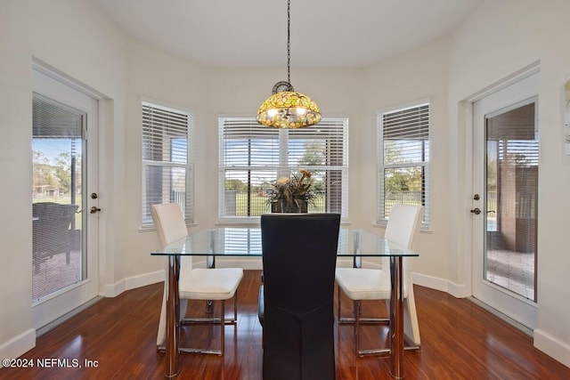 dining room with dark hardwood / wood-style floors