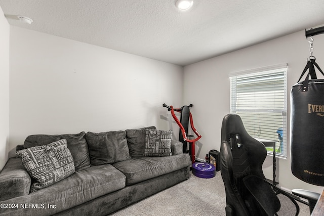 carpeted home office with a textured ceiling