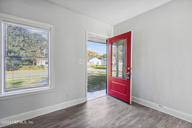 foyer with wood-type flooring and a healthy amount of sunlight