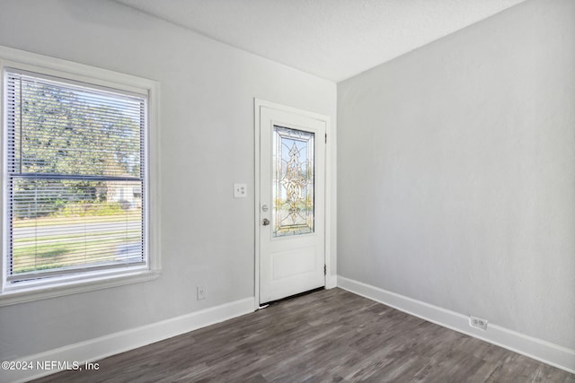 foyer featuring dark hardwood / wood-style floors and a healthy amount of sunlight