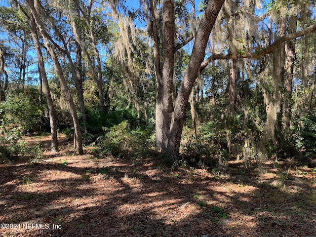 105 Palmer Dr, Interlachen FL, 32148 land for sale