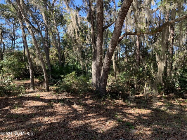 105 Palmer Dr, Interlachen, FL 32148