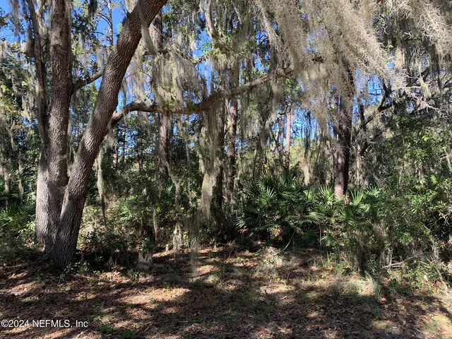 105 Palmer Dr, Interlachen, FL 32148