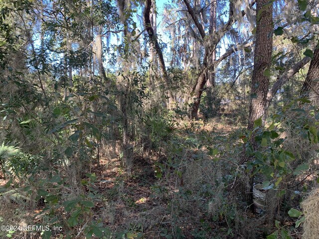 105 Palmer Dr, Interlachen, FL 32148