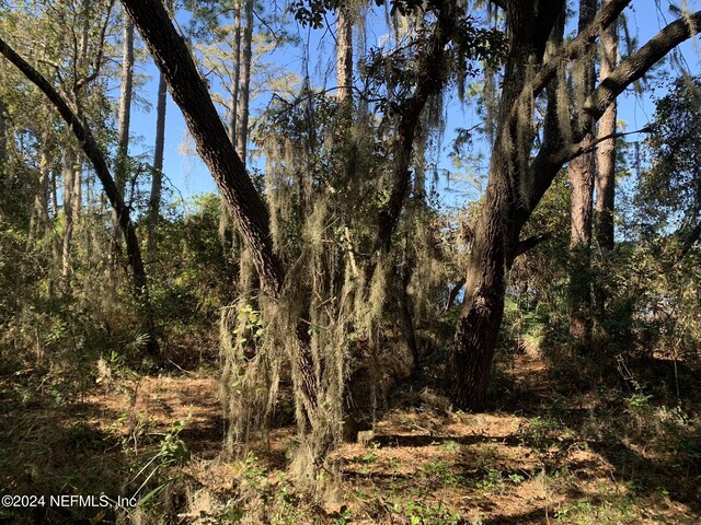 105 Palmer Dr, Interlachen, FL 32148
