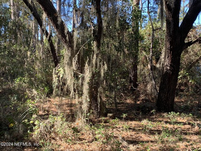 105 Palmer Dr, Interlachen, FL 32148