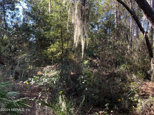 105 Palmer Dr, Interlachen, FL 32148
