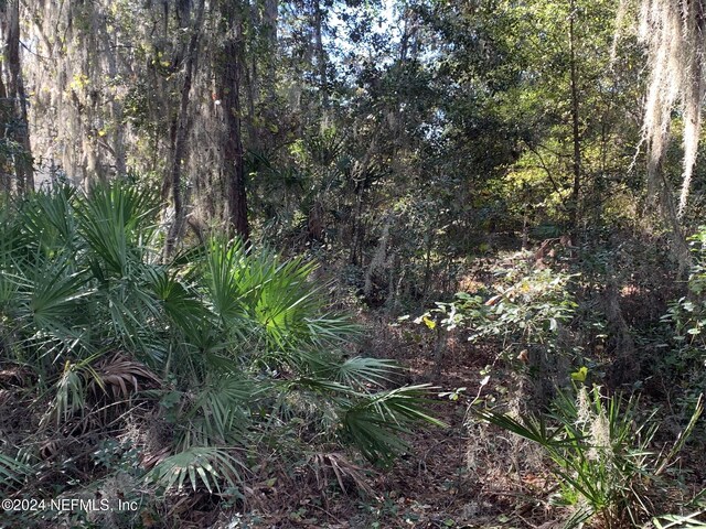 105 Palmer Dr, Interlachen, FL 32148