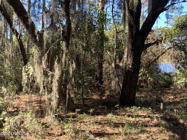 105 Palmer Dr, Interlachen, FL 32148