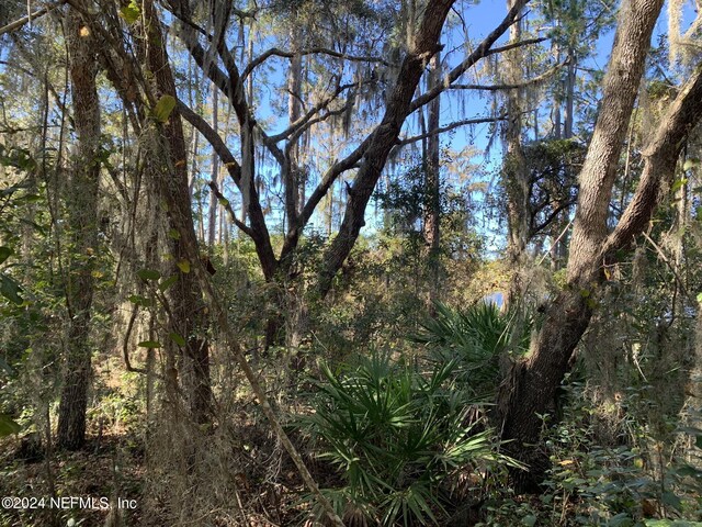 105 Palmer Dr, Interlachen, FL 32148