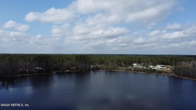 105 Palmer Dr, Interlachen FL, 32148 land for sale