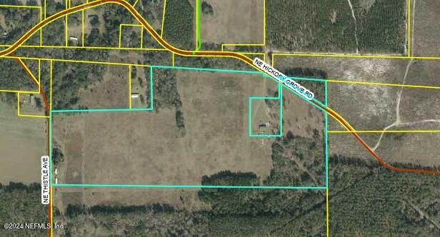 464 NE Thistle Ave, Pinetta FL, 32350 land for sale