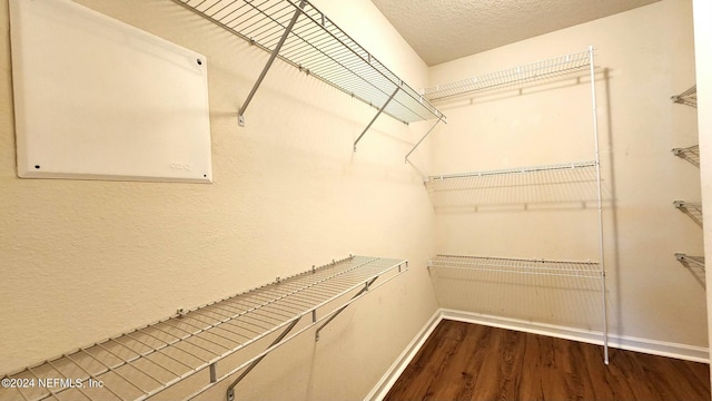 spacious closet featuring dark wood-type flooring