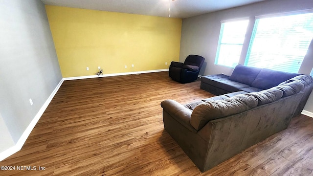 living room featuring hardwood / wood-style flooring