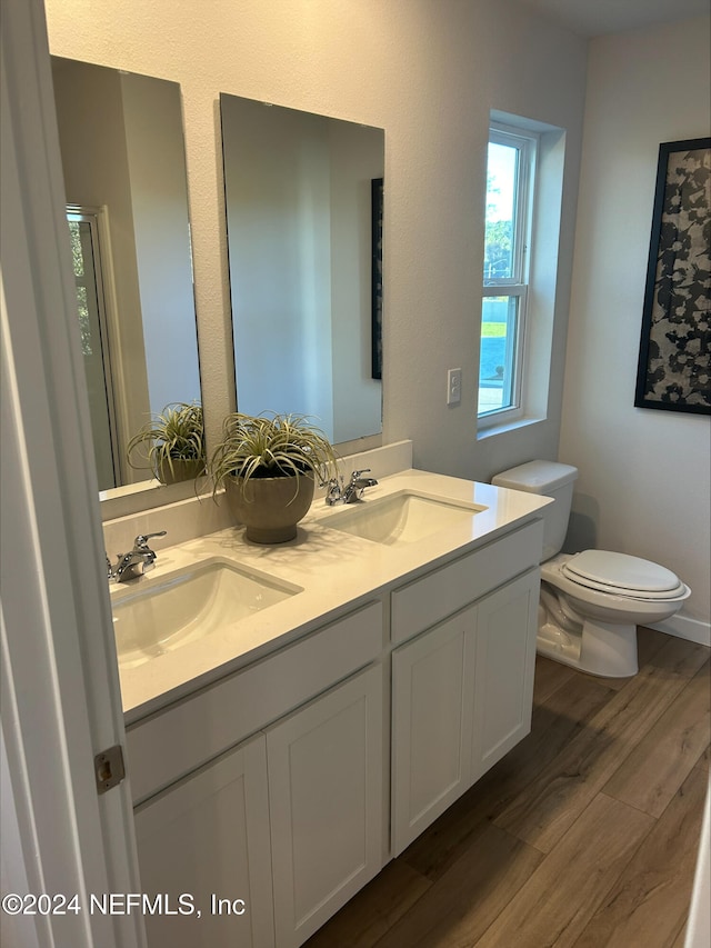 bathroom with wood-type flooring, vanity, and toilet