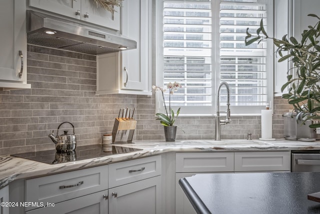 415 N Ocean Grande Dr Unit 101, Ponte Vedra Beach, FL 32082 - kitchen with under cabinet range hood, black electric stovetop, backsplash, and white cabinets