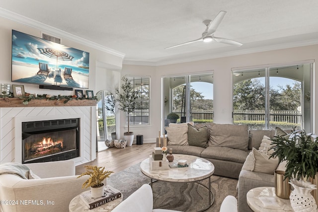 415 N Ocean Grande Dr Unit 101, Ponte Vedra Beach, FL 32082 - living area with crown molding, wood finished floors, a ceiling fan, and a glass covered fireplace