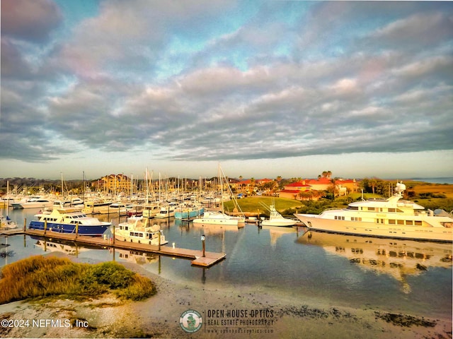 415 N Ocean Grande Dr Unit 101, Ponte Vedra Beach, FL 32082 - water view with a marina and a boat dock