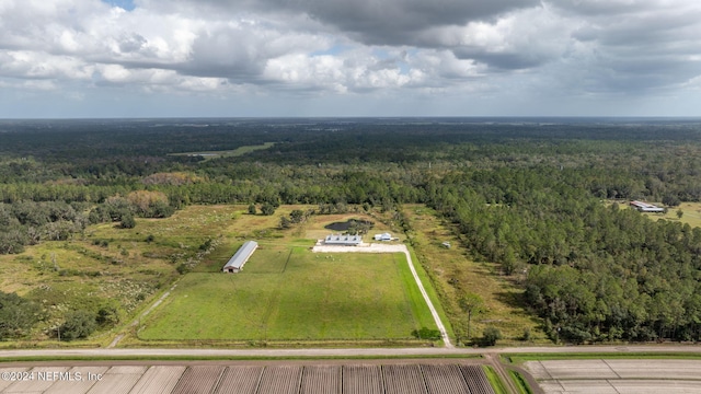 234 Cracker Swamp Dirt Rd, East Palatka, FL 32131 - photo 1