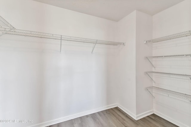 spacious closet with hardwood / wood-style flooring