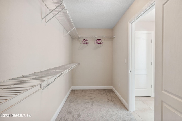 spacious closet with light carpet