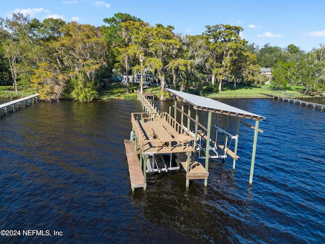 dock area with a water view