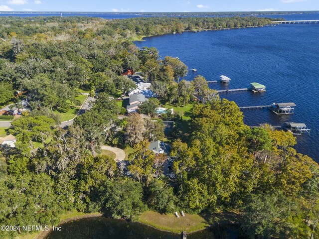 988 Birdwood Dr, Orange Park, FL 32073 - photo 86